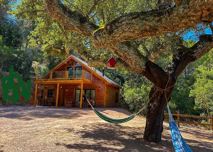 Cabañas Del Bosque Cerca De Cordoba
