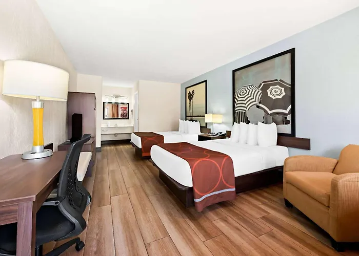 Hotel: Super 8 By Wyndham Florida City/Homestead/Everglades