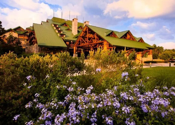 Disney'S Wilderness