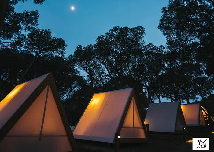 Huisdiervriendelijk hotel: Wecamp Cala Montgo