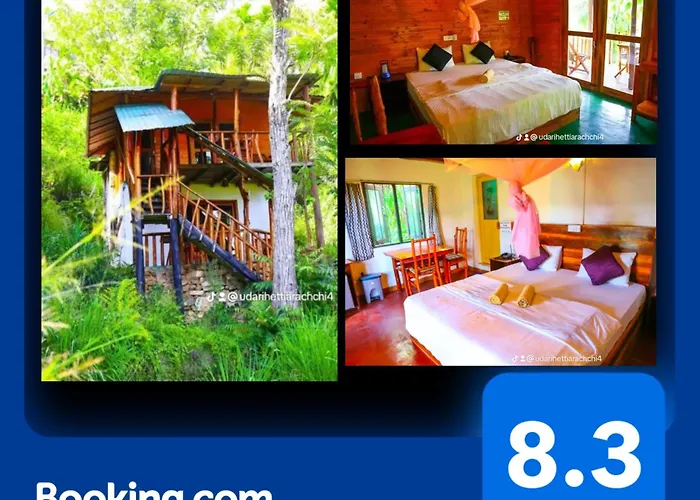 Guest house: Ella Bamboo Cabana