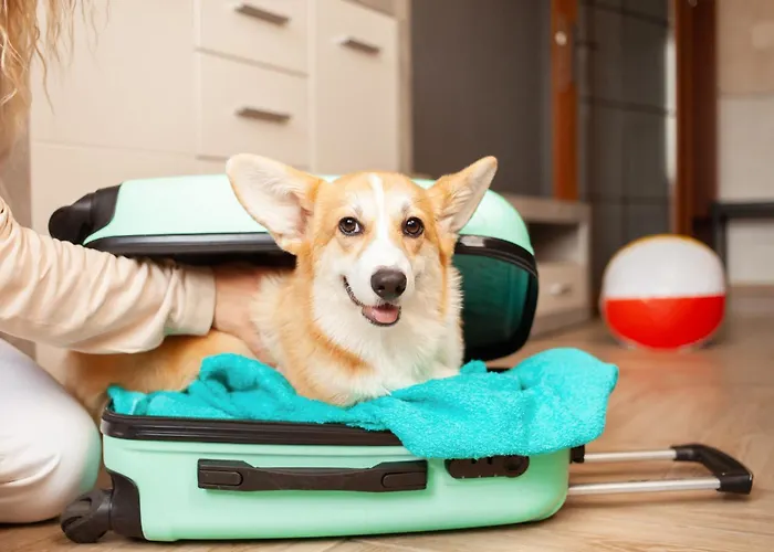 Cheap hotel: Motel 6-Austin, Tx - Midtown