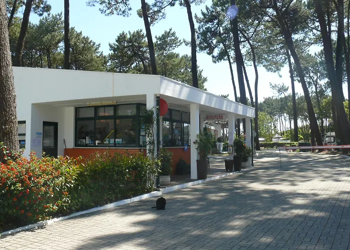Parque De Campismo Orbitur Viana Do Castelo
