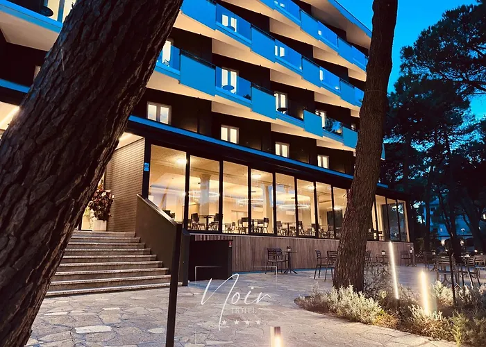 Hotel adatto agli animali: Hotel Noir - Free Brunch & Breakfast Until 13-00 - Vicinissimi A Mirabilandia