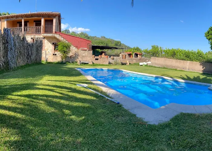 Higueras Y Olivos