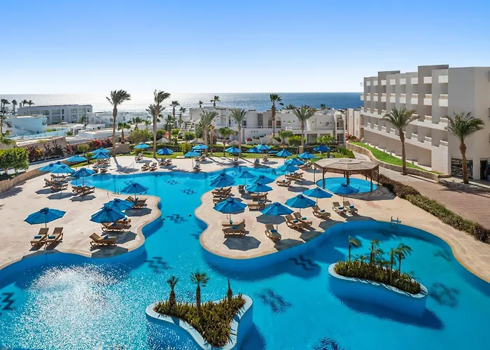 Ping Pong hotel: Doubletree By Hilton Sharks Bay Resort