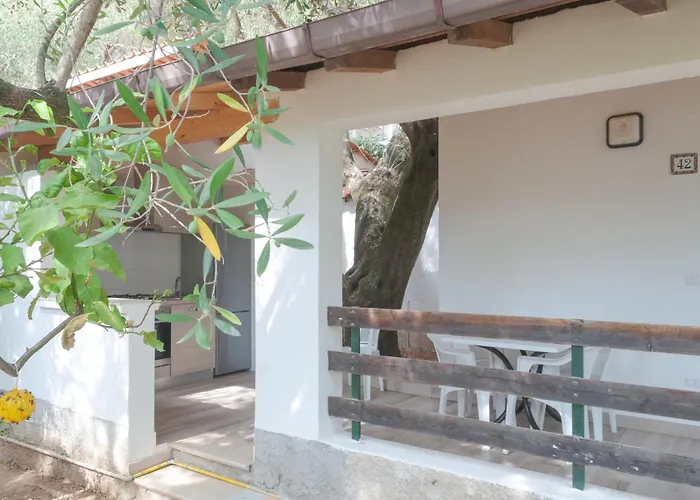 Gli Anelli Di Saturno