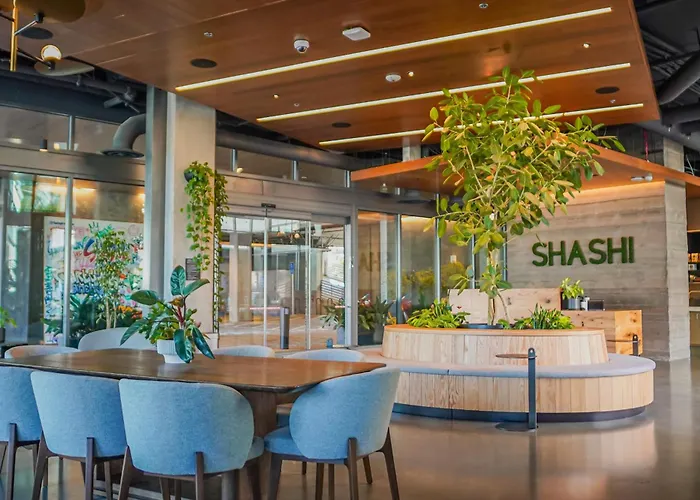 Hotel: Shashi Hotel Mountain View Palo Alto