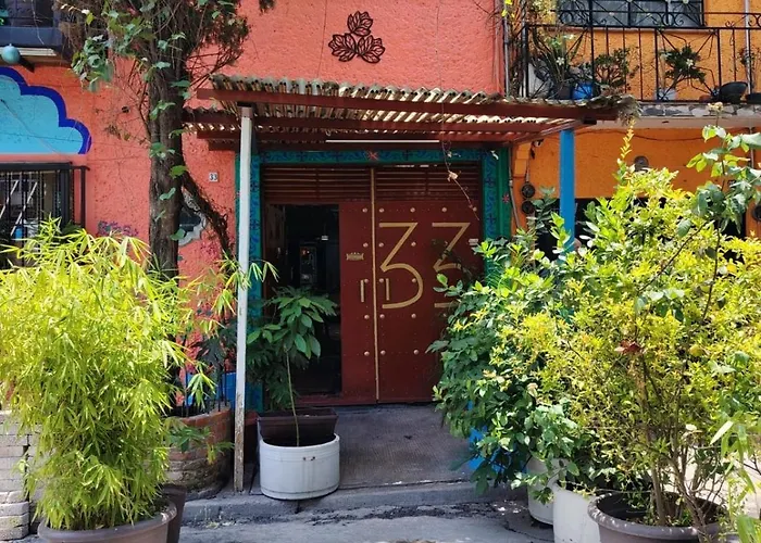 Pets Allowed Hotel Mexico Airport Cdmx