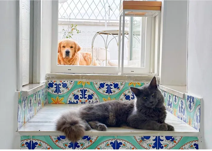 B&B Le Bateau Bleu