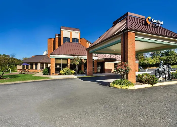 Comfort Inn Lexington Virginia Horse Center