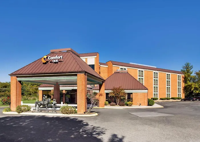 Comfort Inn Lexington Virginia Horse Center