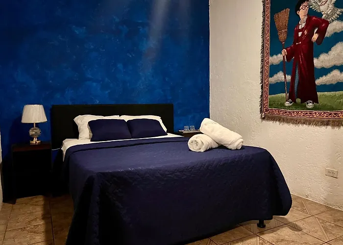 The Hostels Budget Private Rooms - Wonderland B&B - Shuttle Services Available
