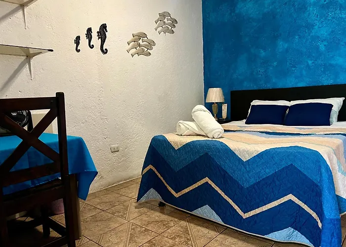 The Hostels Budget Private Rooms - Wonderland B&B - Shuttle Services Available