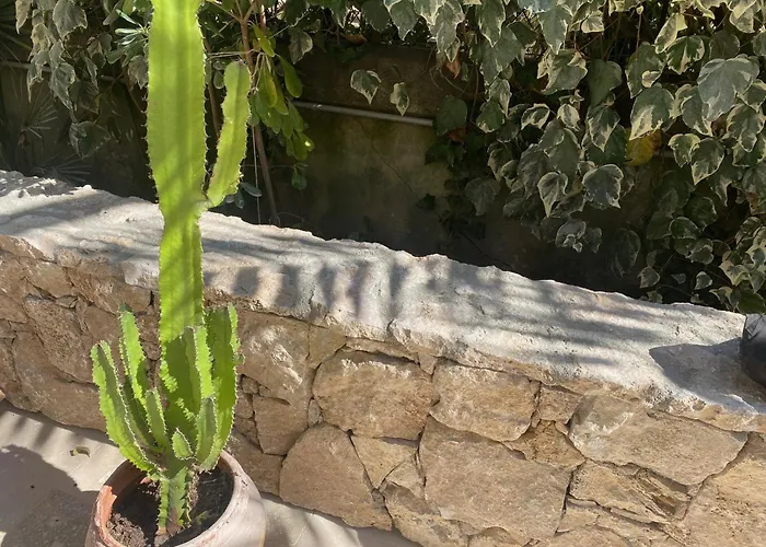 Hôtel Bon Abri - Maison Sanaryenne