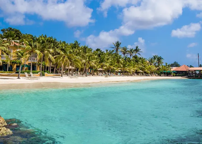 4 sterren hotel: Harbour Village Beach Club