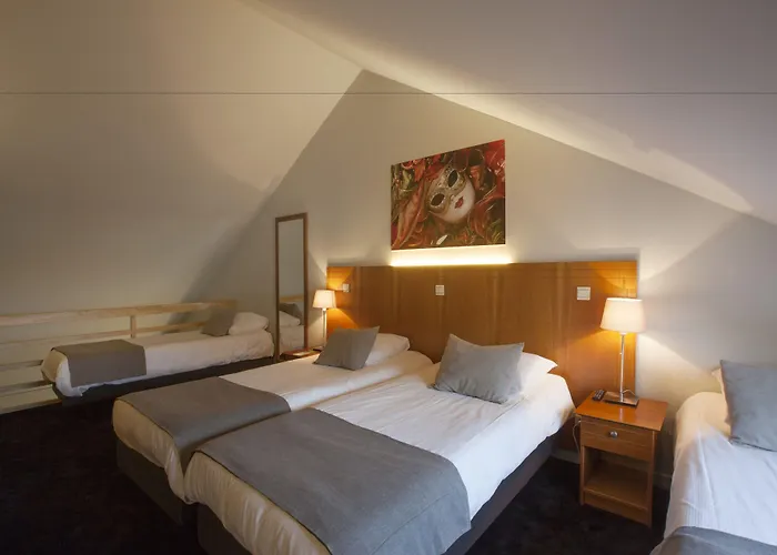 Huisdiervriendelijk hotel: Theater Hotel Leuven Centrum