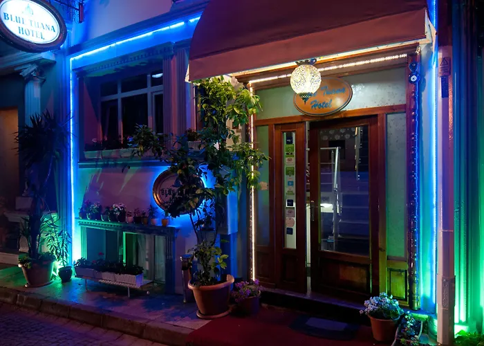 Blue Tuana Hotel Old City