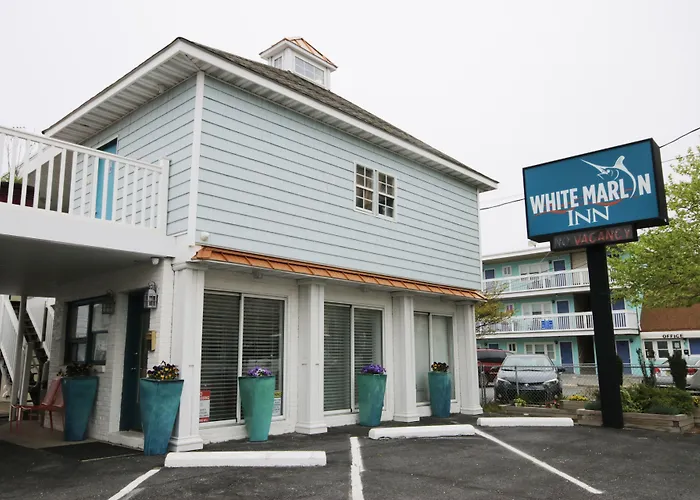 Motels White Marlin Inn