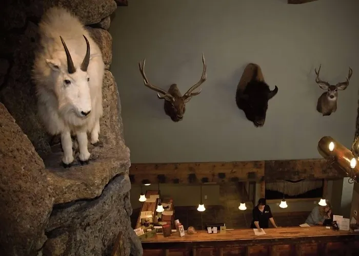 Three Bear Lodge