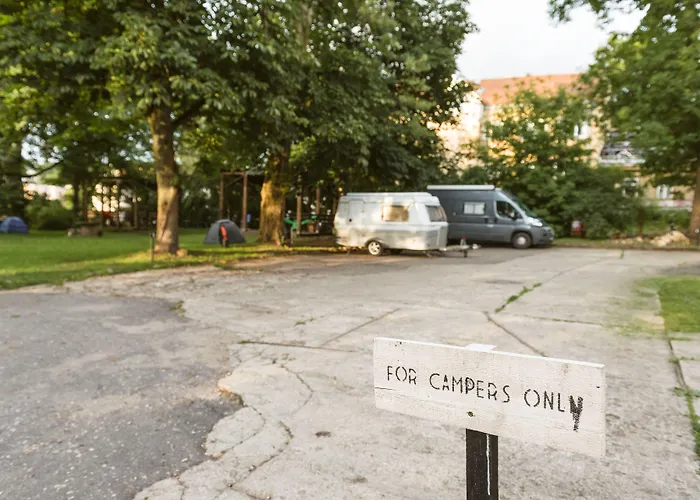 Downtown Forest & Camping
