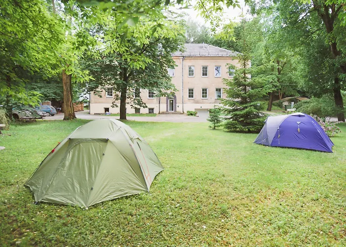 Downtown Forest & Camping