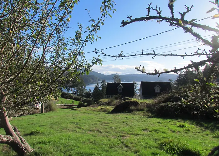 Hotel near College: Moonlit Cove B&B