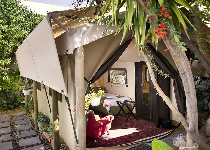 Guest house: Villa Viva Cape Town