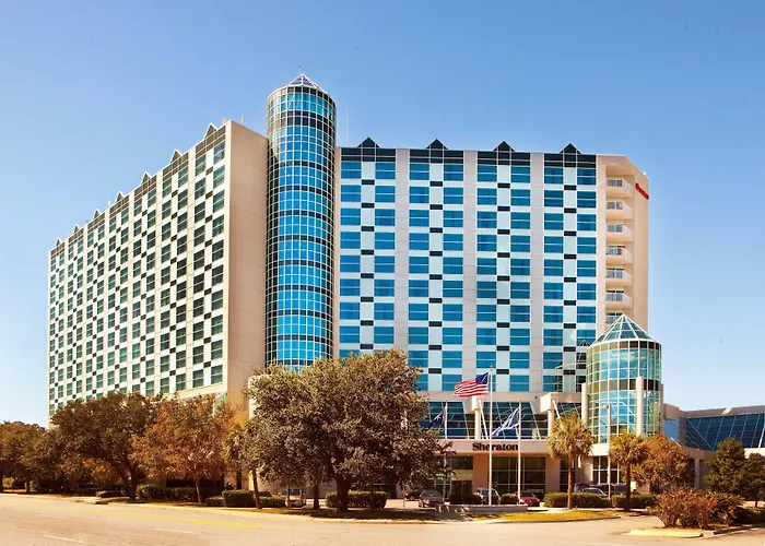 Ocean Forest s