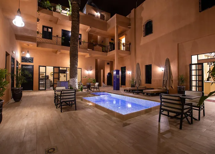 Hôtel accueillant les animaux: Hotel Toulousain