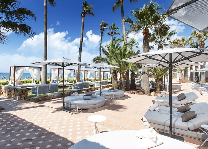 The Oasis By Don Carlos Resort (Adults Only)