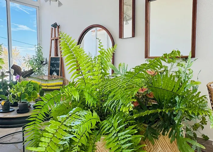 Palm View Guesthouse, Adults Only