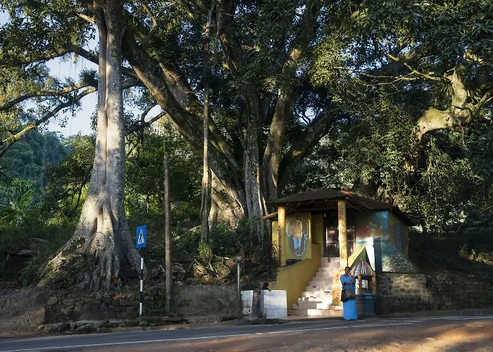 W15 Hanthana Estate Kandy