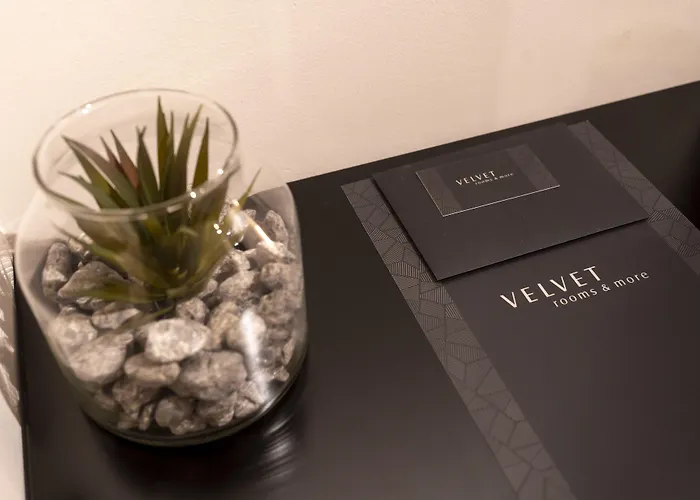 Hotel cerca del aeropuerto: Velvet Rooms & More