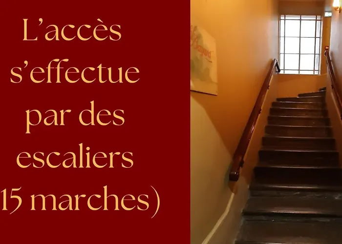 Hôtel accueillant les animaux: Bayard Bellecour