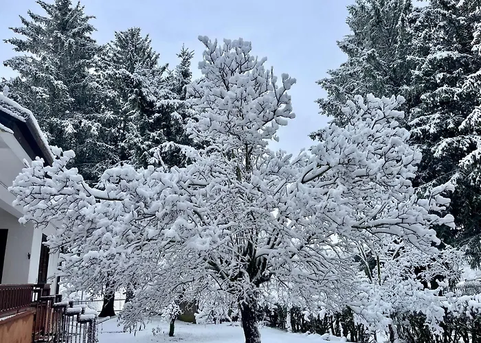Chalet dell'Orso