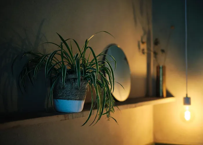 Les Suites De Petit Bomal