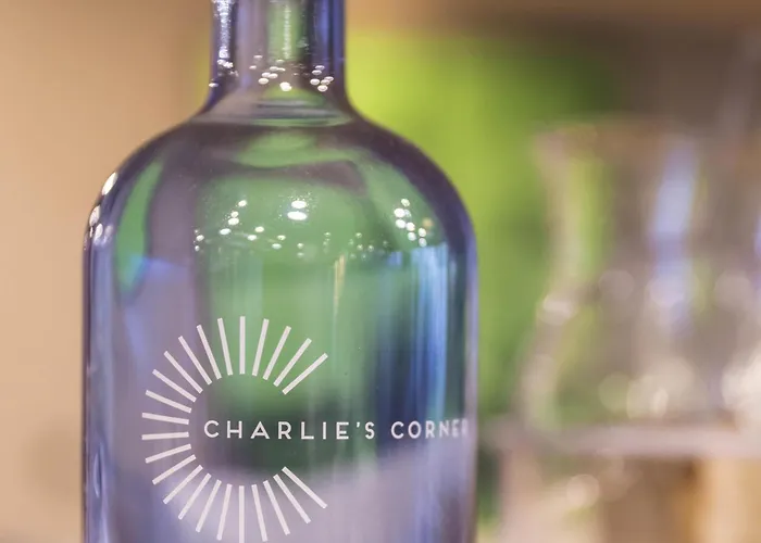 Ibis Zuerich Messe Airport