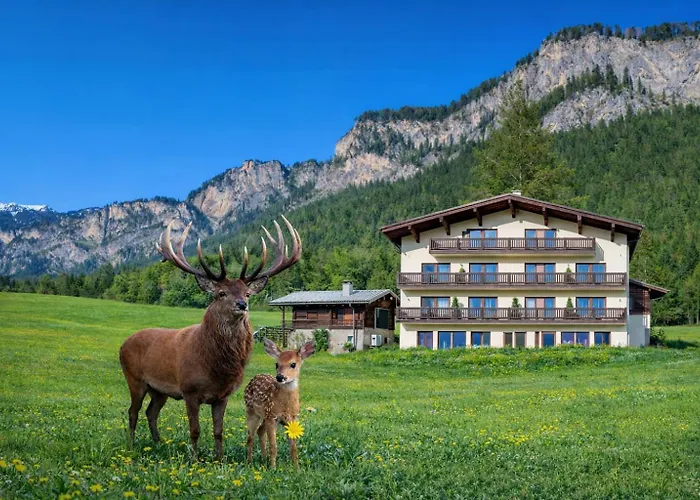 Berghof Haselsberger