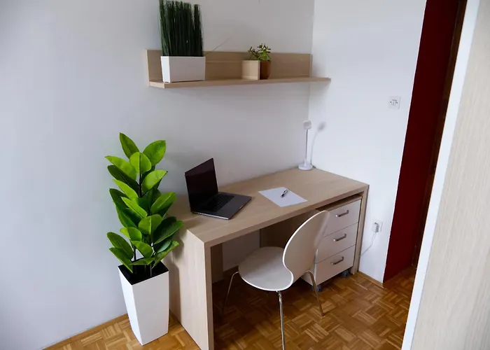 Auberge: C - Punkt Hostel