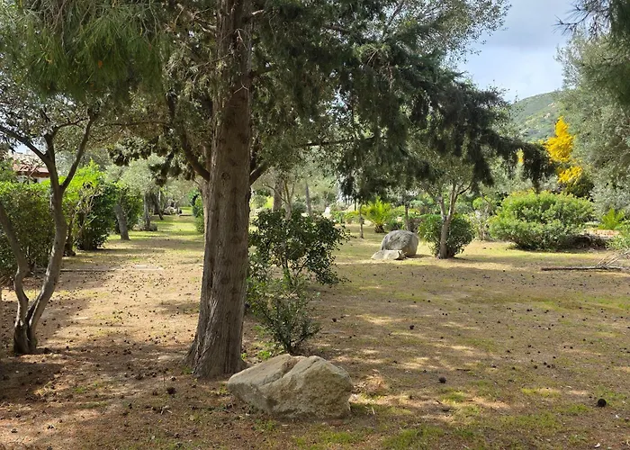 Flamingos In The Desert Villasimius