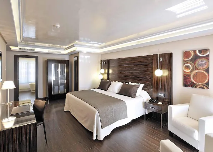 Hotel de lujo: Vincci Selección Aleysa