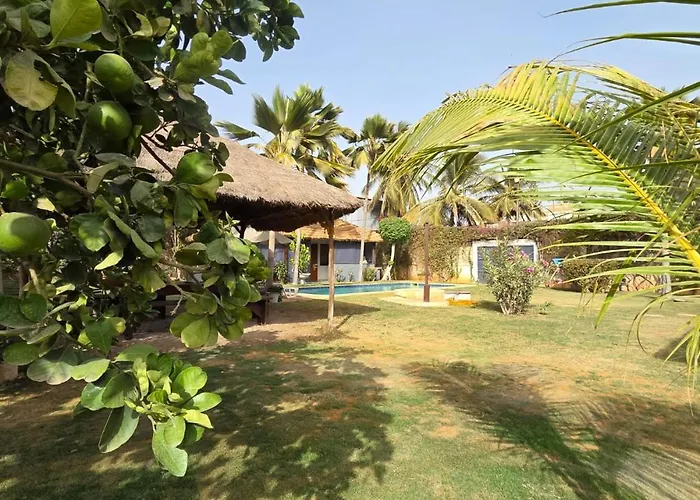 Jardin D'Afrique, Saly