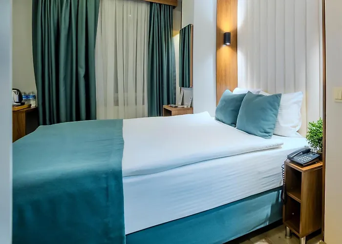 Hotel Black Tulip