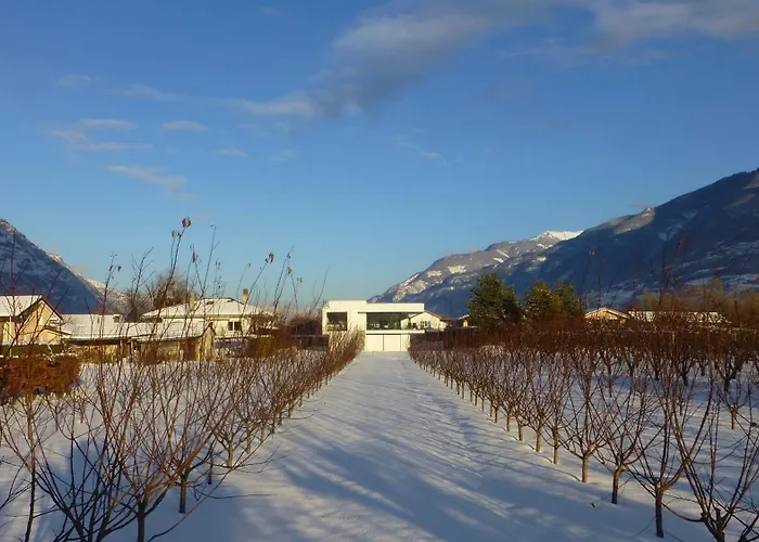 Alps Spirits - B&B Studio