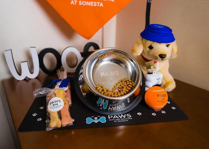 Sonesta Es Suites Parsippany Morris Plains