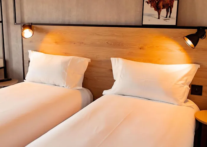 Animaux admis Ibis Clermont Ferrand A71 A75 La Meridienne