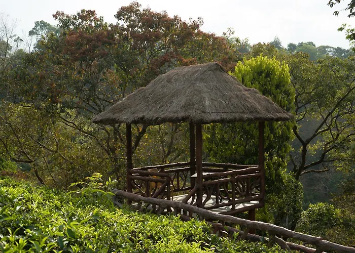 Eterno Camellia & Elettaria Resort With Pool