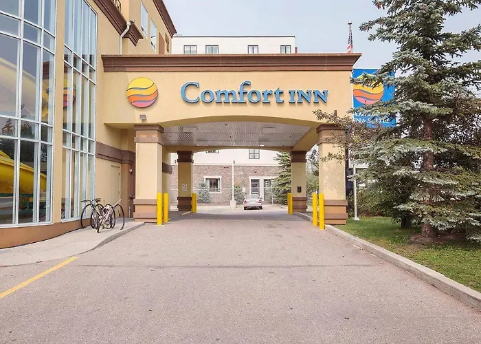 Comfort Inn & Suites University