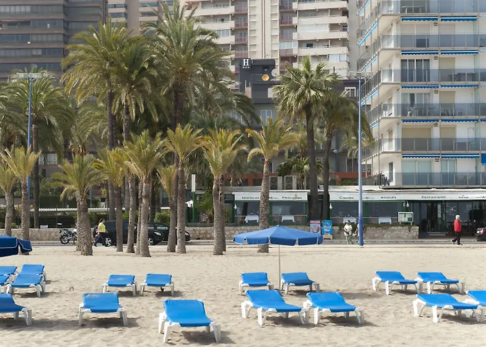  El Palmeral